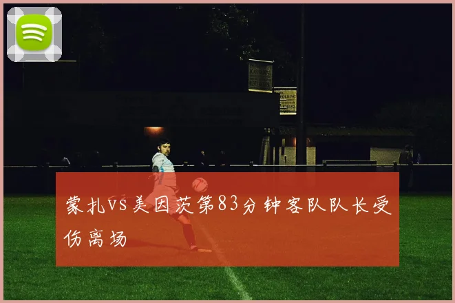 蒙扎vs美因茨第83分钟客队队长受伤离场