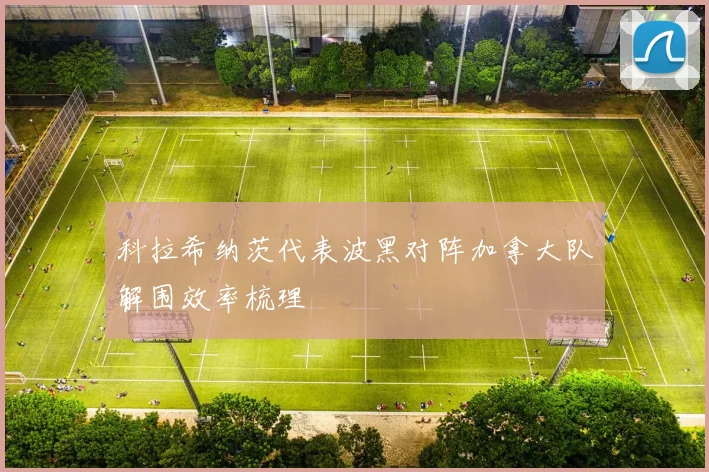科拉希纳茨代表波黑对阵加拿大队解围效率梳理