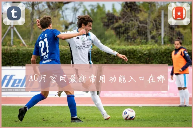 AG厅官网最新常用功能入口在哪